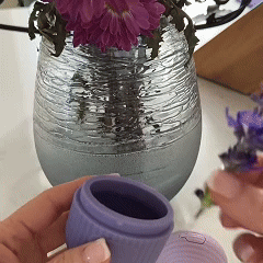 Ice Face Roller